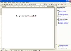 Word2002 sshot.jpg